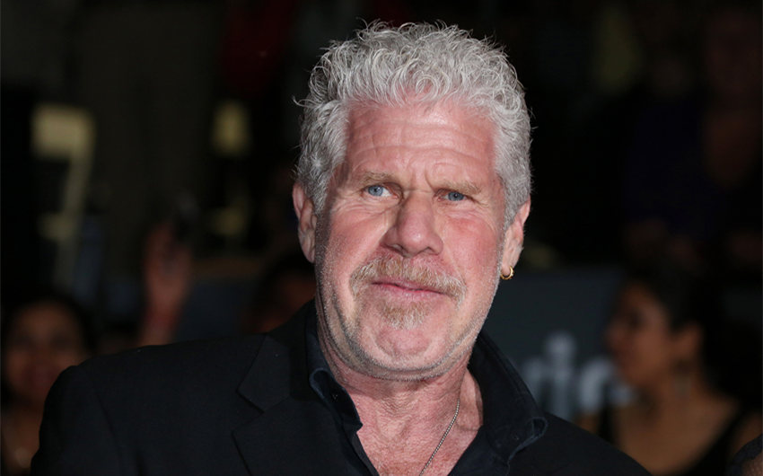 ron perlman net worth