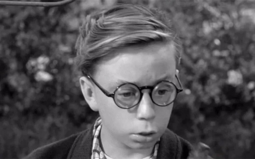 tiger fafara net worth